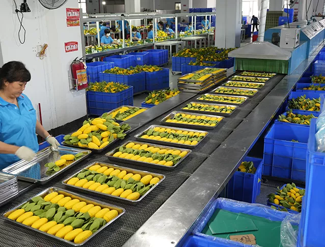Проверка продукта